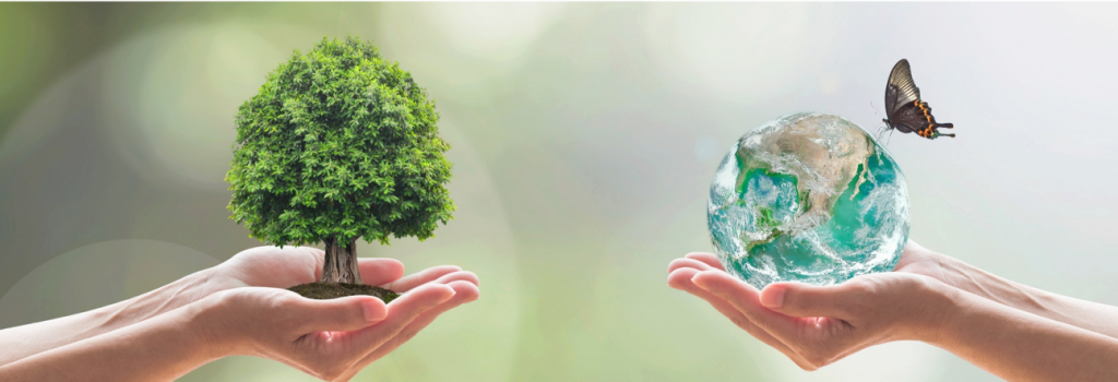 Soli Clean milieuvriendelijk duurzaam schoonmaken