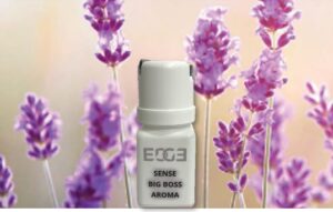 Sense Aroma Big Boss doos 6 x 50 ml