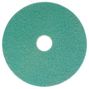 Bright 'n Water Cleaning Pad, Groen, 17 inch, 2 stuks