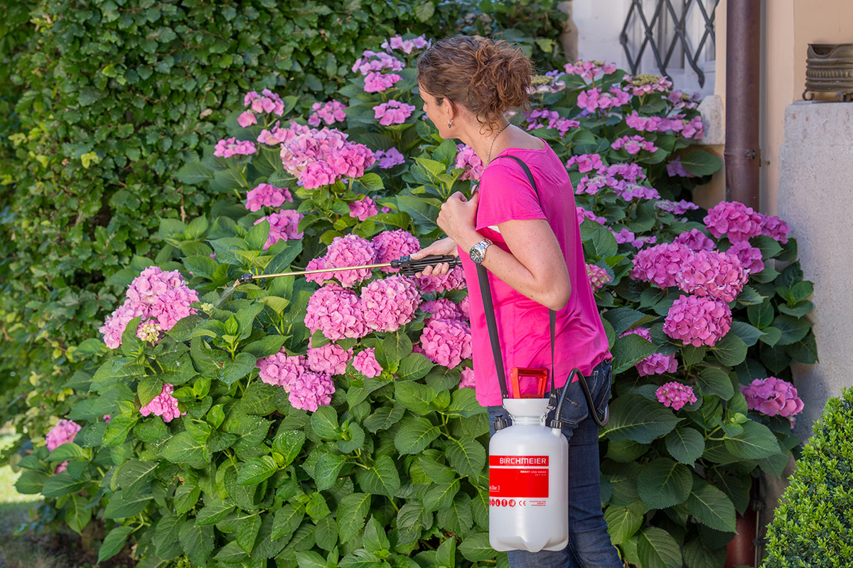Garden Star 3 schouderspuit - Afbeelding 3