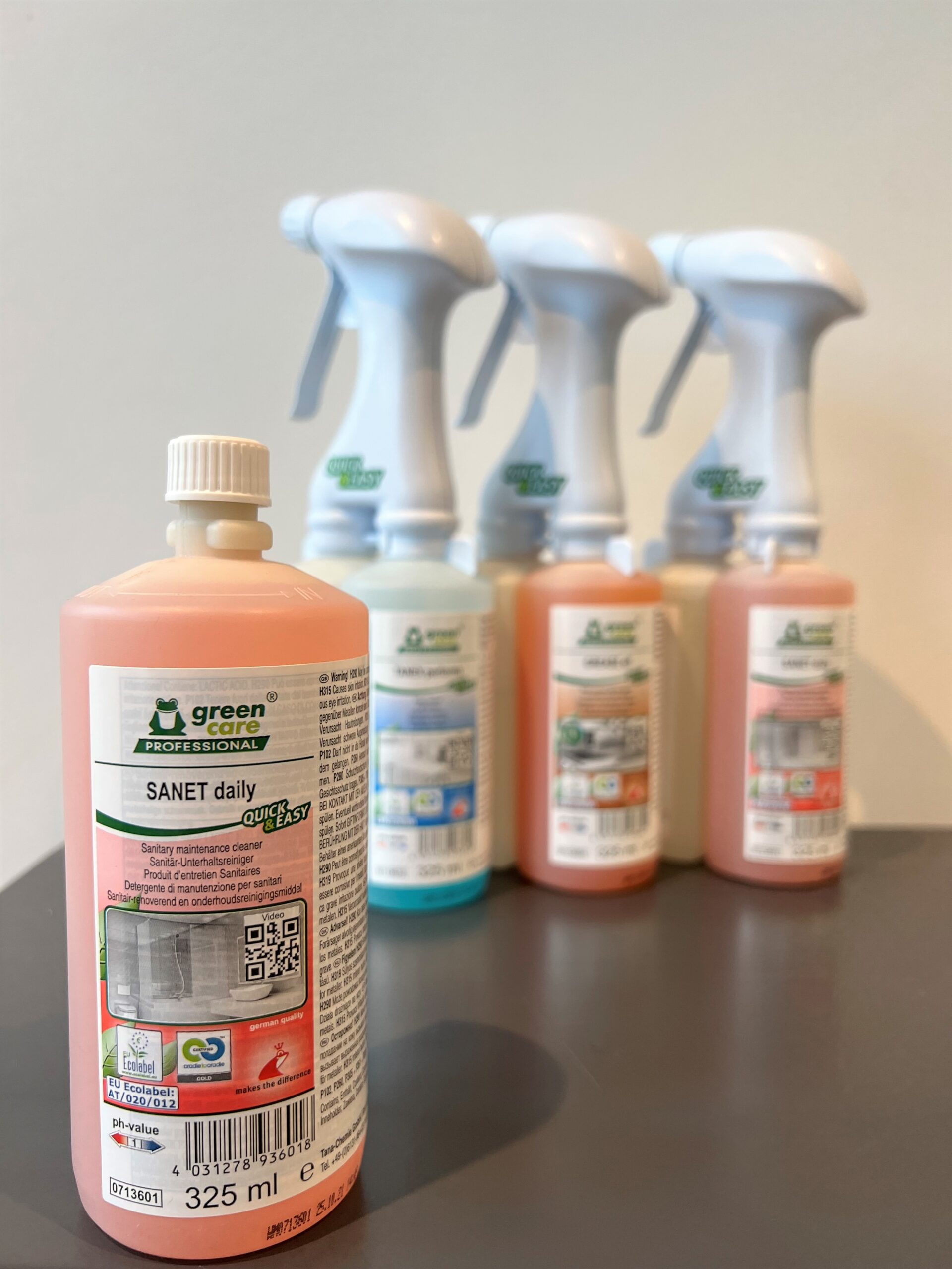 SANET daily sanitairreiniger 6x 325 mL (incl. Foam head)